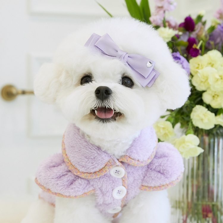 iLo iLo 寶兒蝴蝶結外套