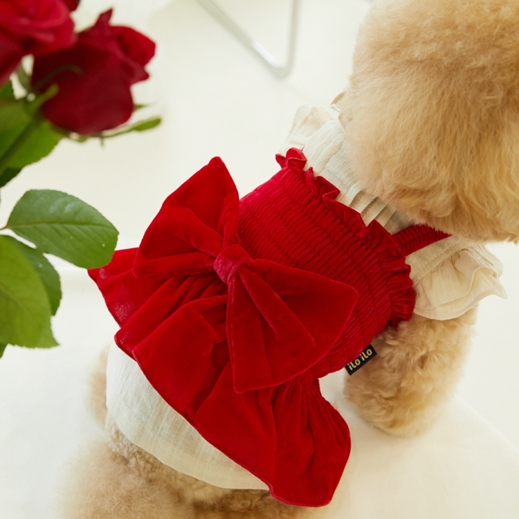 iLo iLo天鵝絨蝴蝶結短版上衣