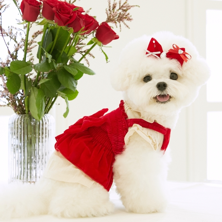 iLo iLo天鵝絨蝴蝶結短版上衣