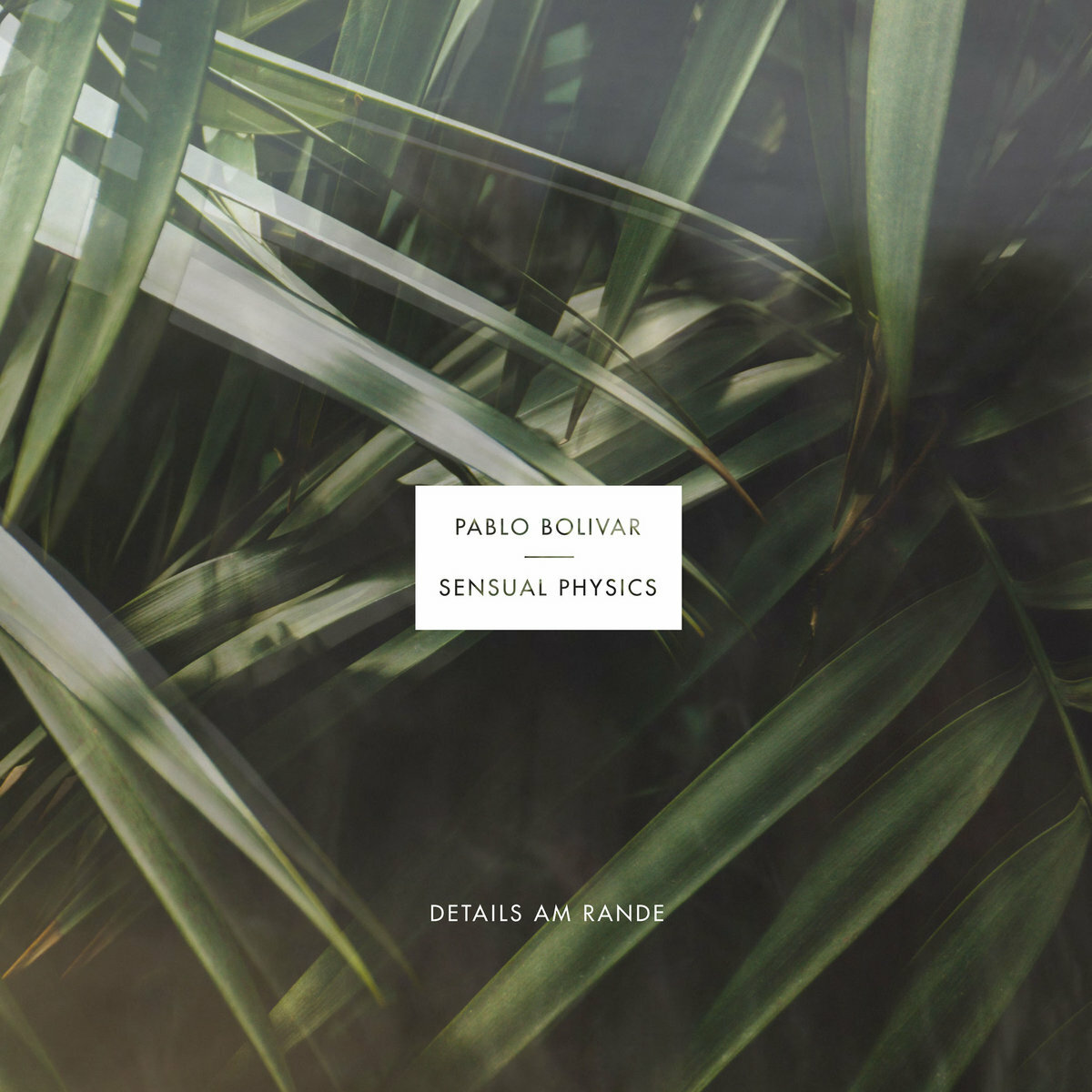 Pablo Bolivar & Sensual Physics《Details Am Rande》（2LP）