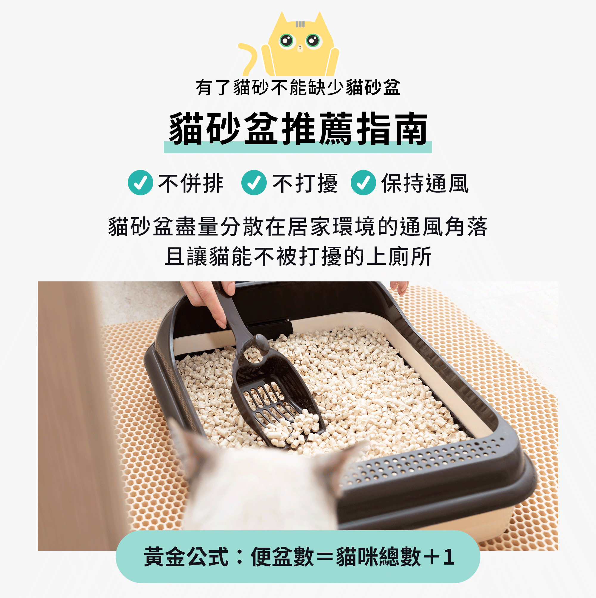 貓砂盆推薦指南