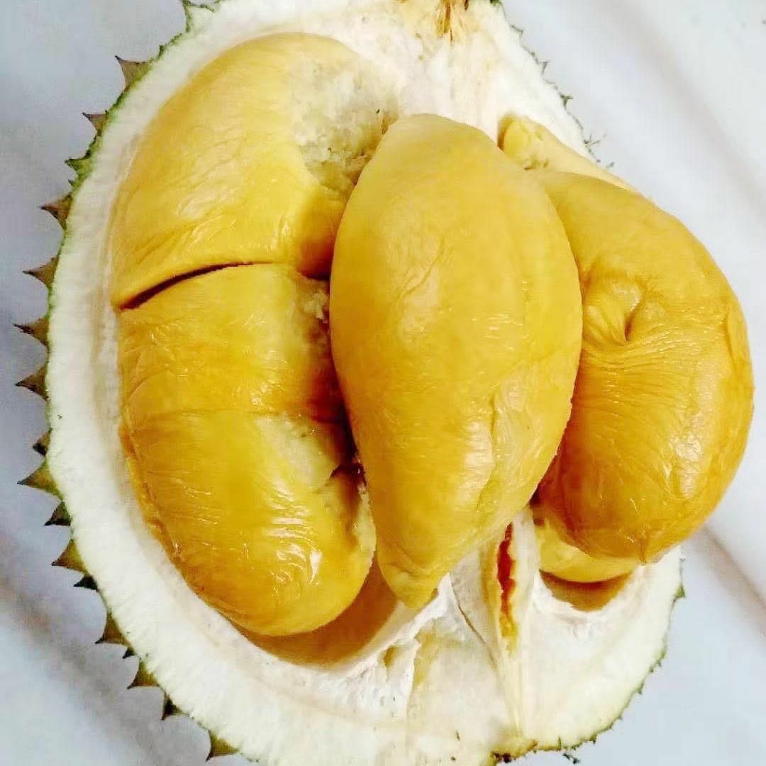 黑刺