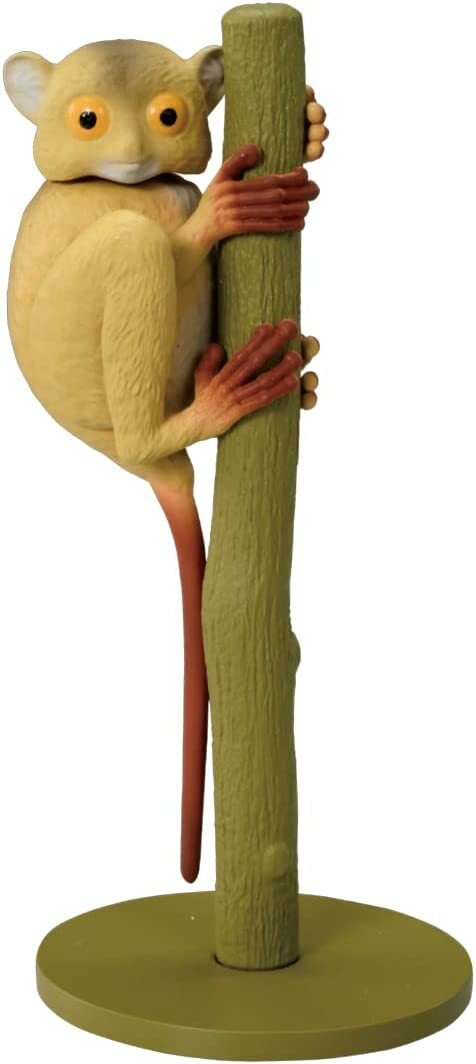 《 ANIA 多美動物園 》 AS-27 眼鏡猴