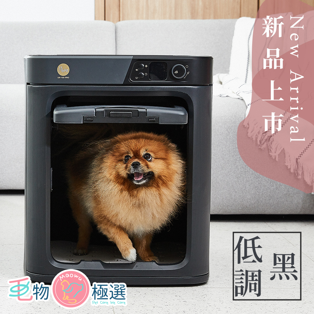 韓國貝貝PePe烘毛機升級版-DR100pro