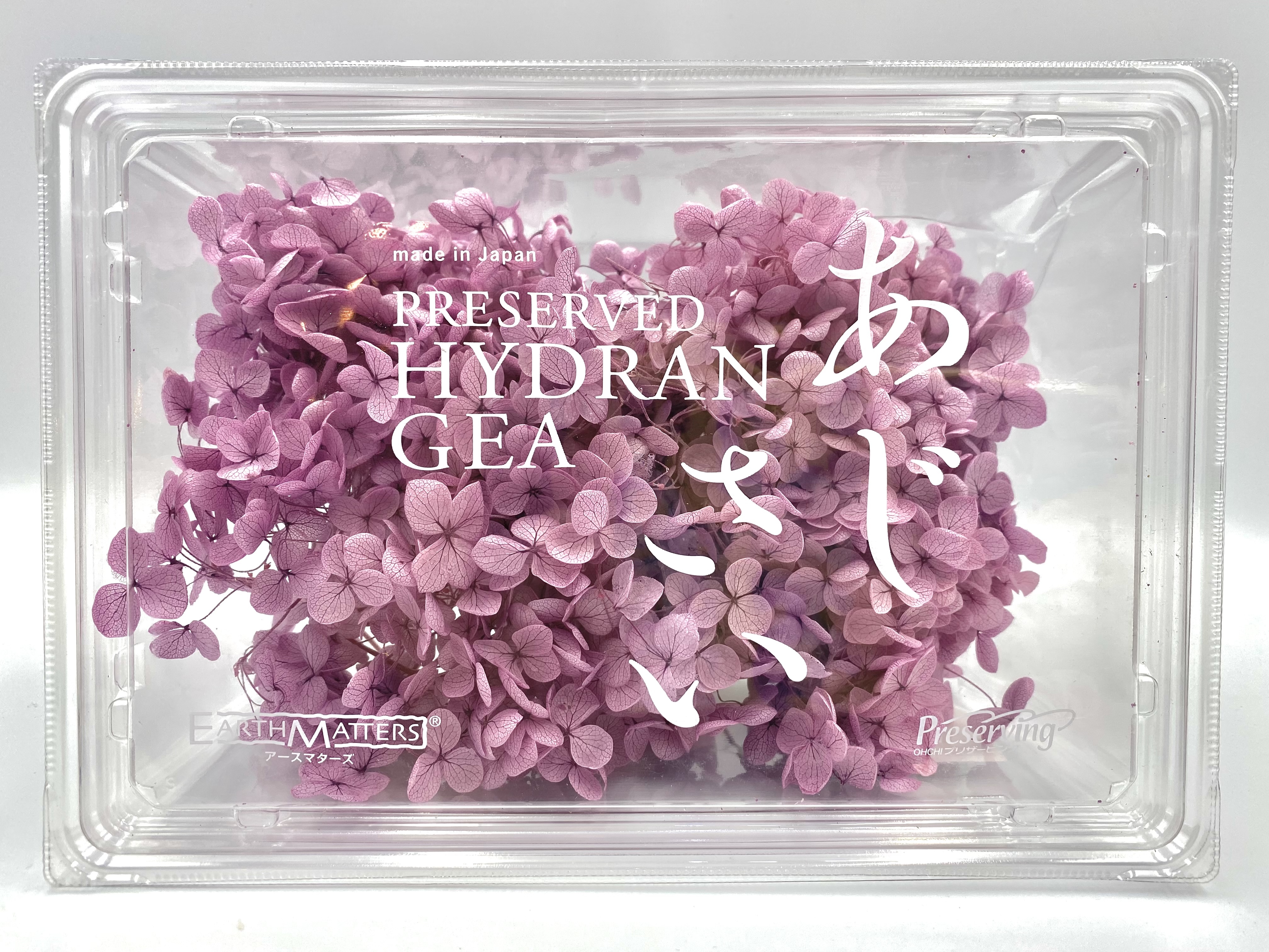 日本不凋安娜繡球 02160-401