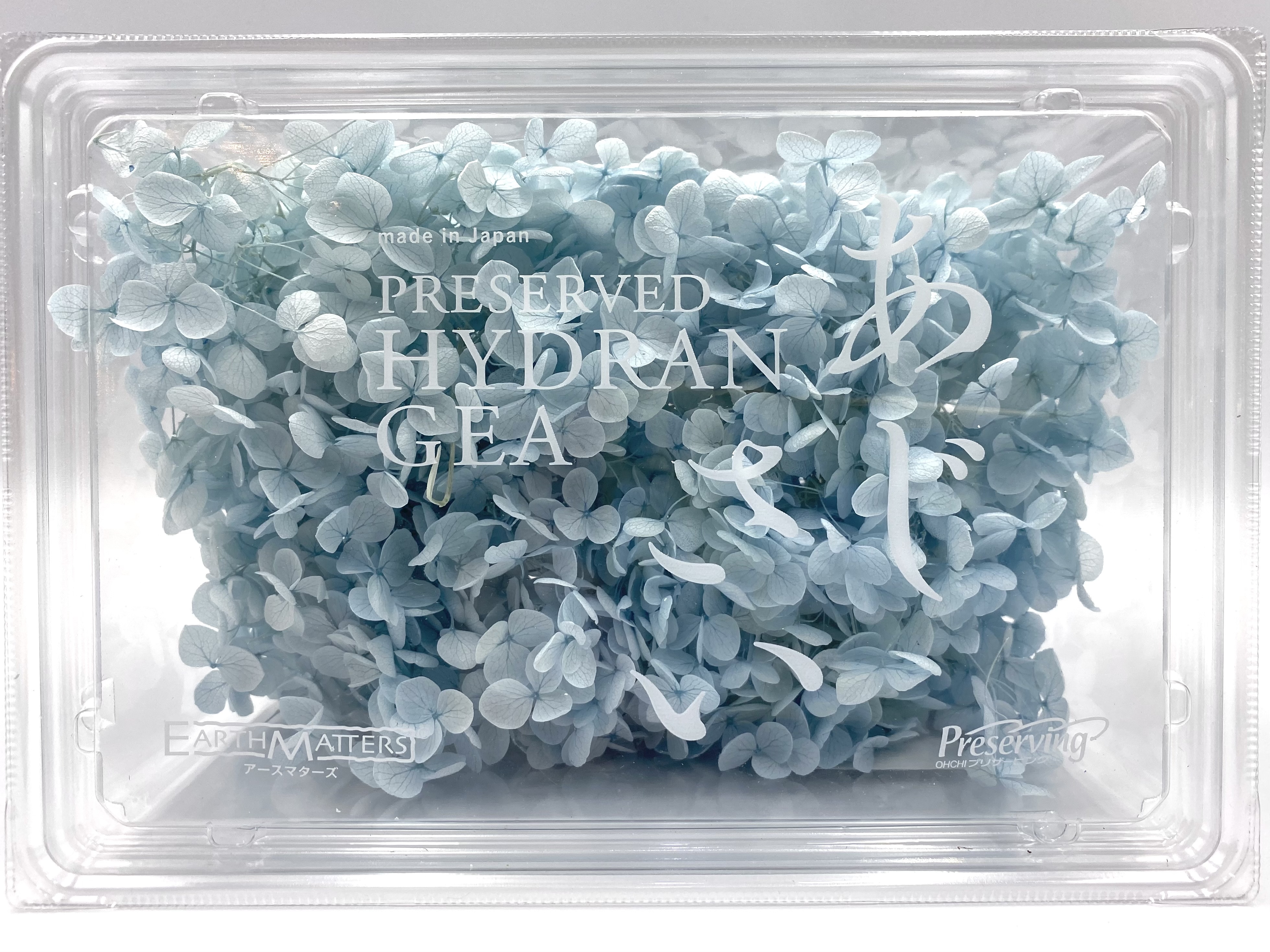 日本不凋安娜繡球 02160-621