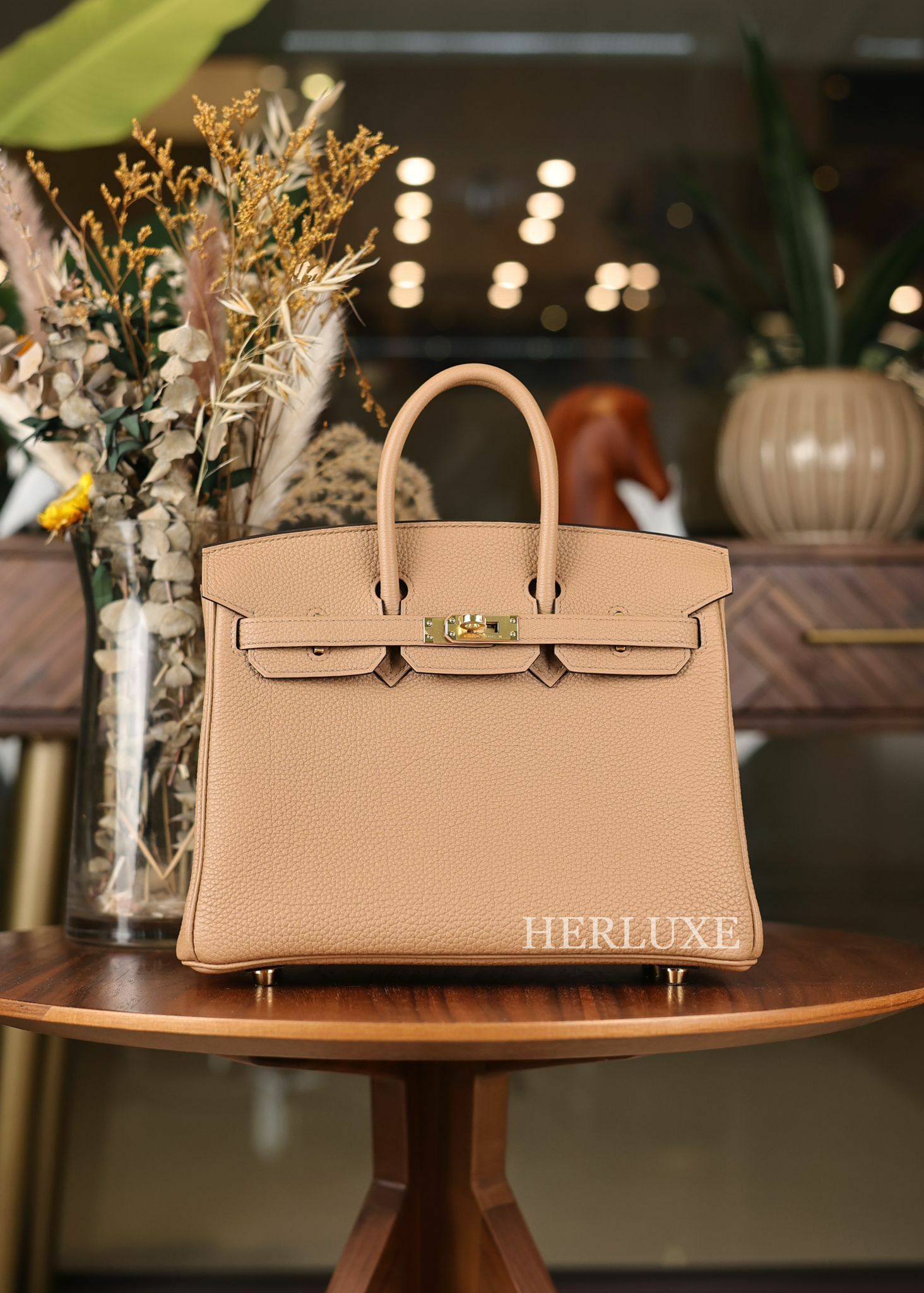 Birkin 25 0M chai cc togo B