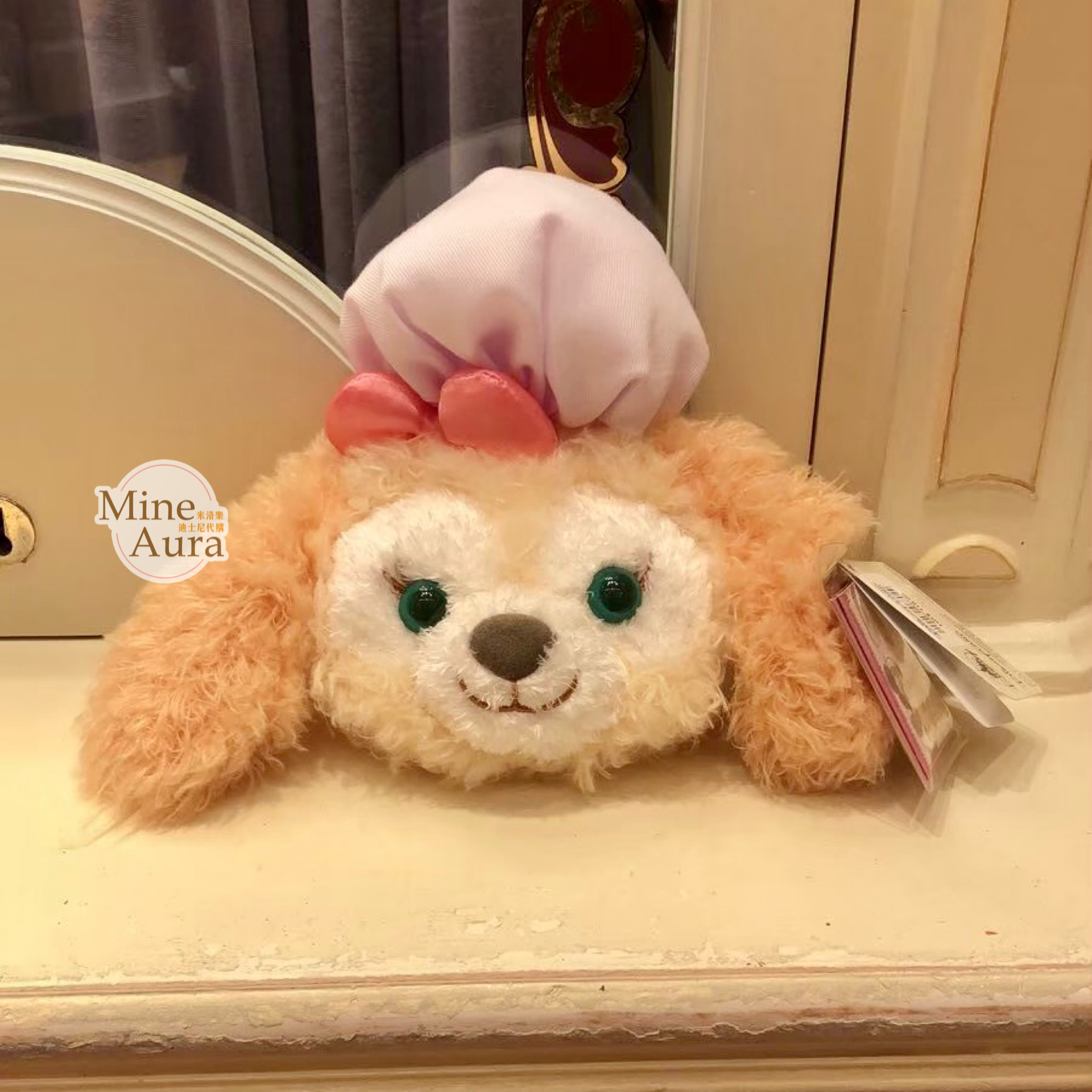 可琦安 餅乾 CookieAnn 大頭 絨毛 零錢掛包 零錢包 -香港迪士尼樂園