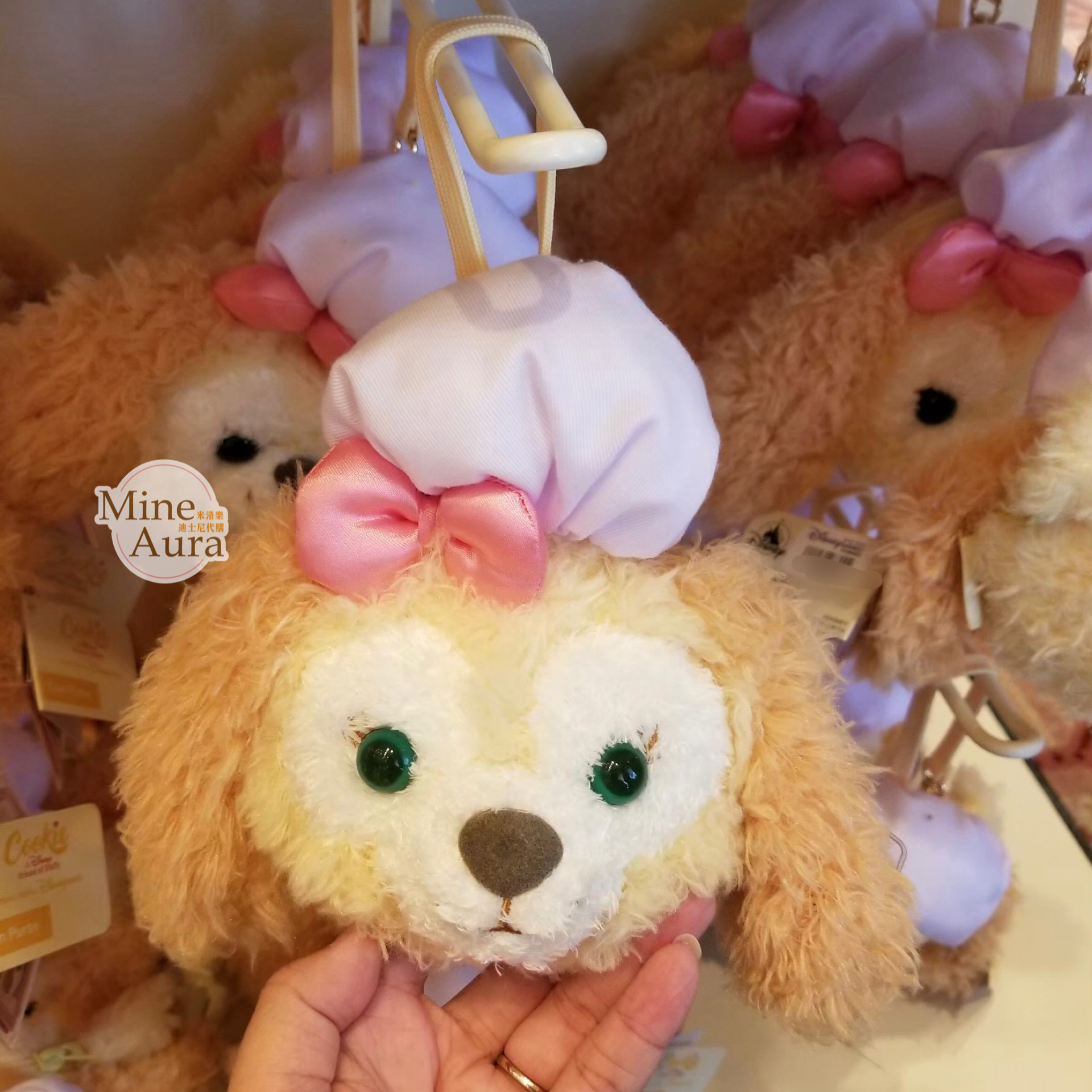 可琦安 餅乾 CookieAnn 大頭 絨毛 零錢掛包 零錢包 -香港迪士尼樂園