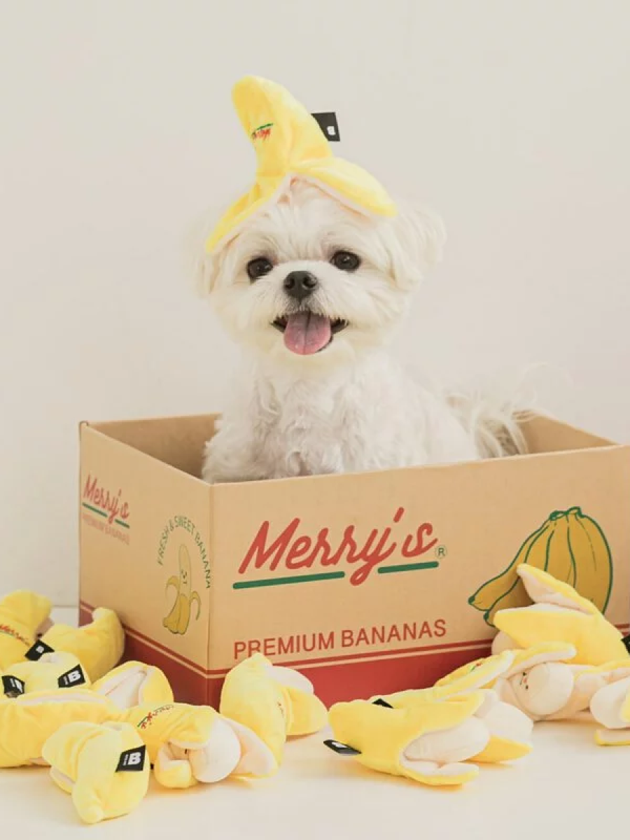 【韓國 BiteMe】BiteMe x Merry 香蕉造型｜藏食發聲玩具