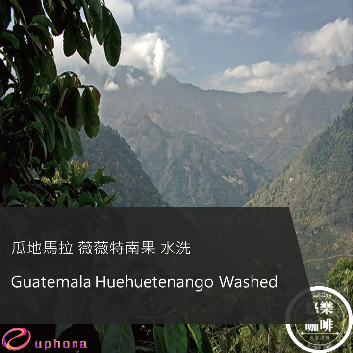 Guatemala Huehuetenango Washed
