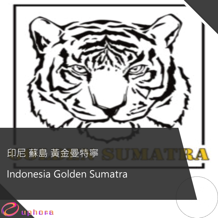 Indonesia Golden Sumatra