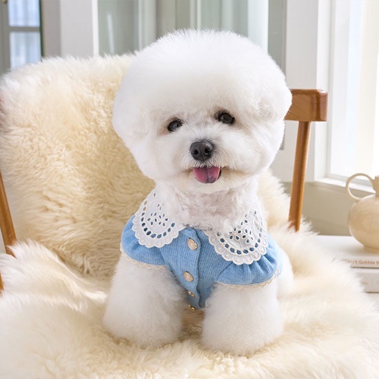 蕾絲領開衫上衣-水藍Lace Collar Cardigan-It’s sunny outside