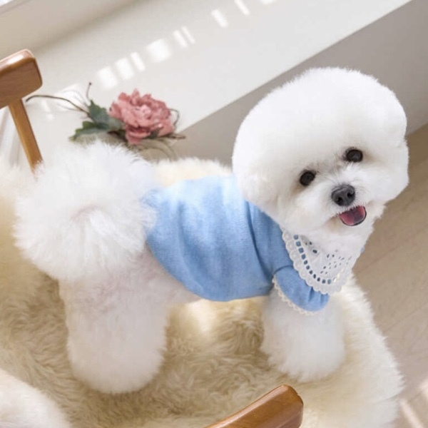 蕾絲領開衫上衣-水藍Lace Collar Cardigan-It’s sunny outside