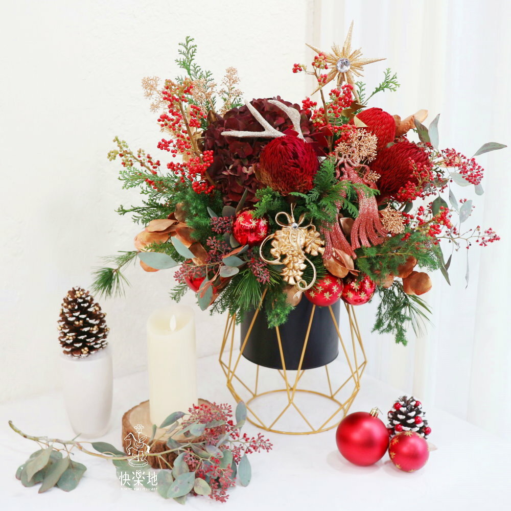 華麗盛世 I 聖誕節盆花  XM220888