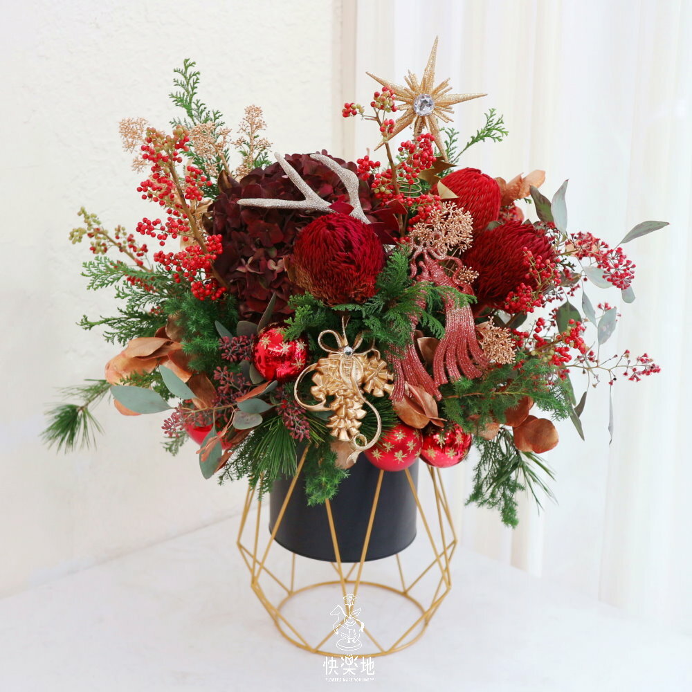 華麗盛世 I 聖誕節盆花  XM220888