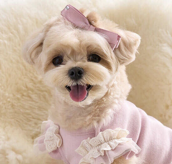 Mellow 粉系寶寶款-印地安粉 髮飾 髮夾- It’s sunny outside