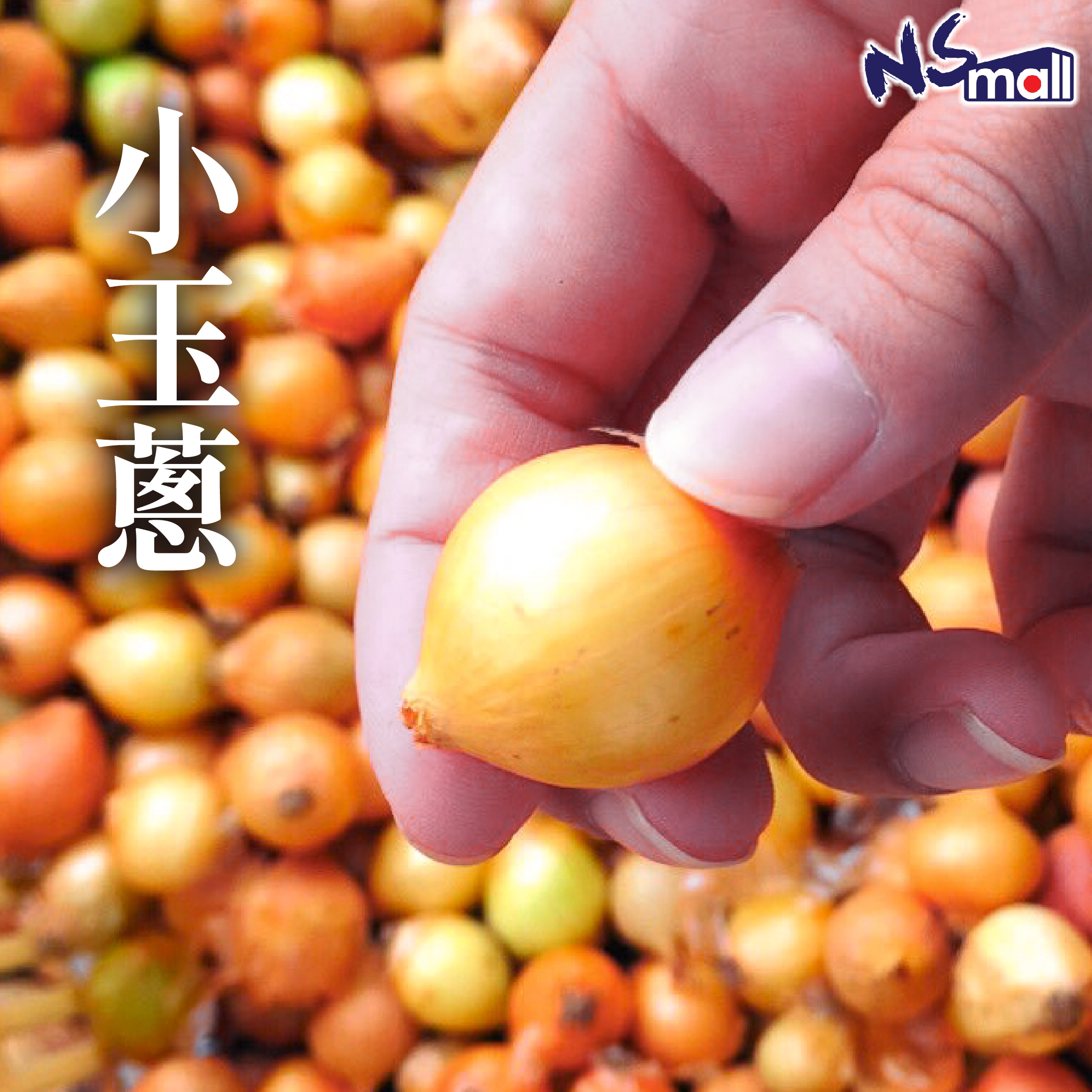小玉蔥 (迷你洋蔥仔) 約500g/份
