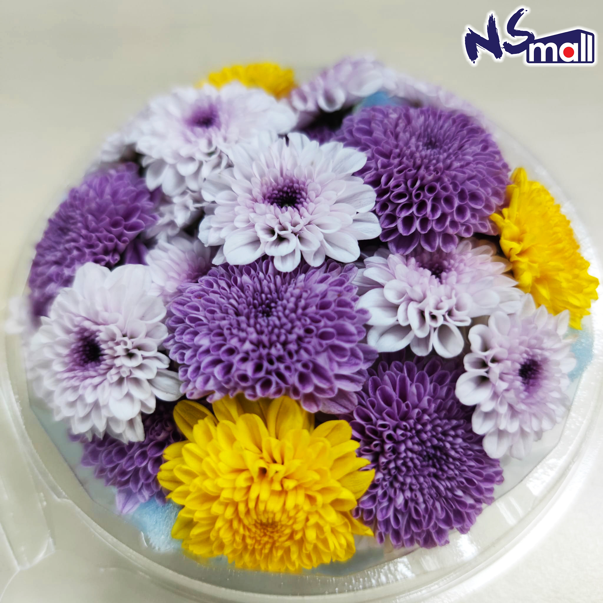 彩色菊之花 約50g/盒