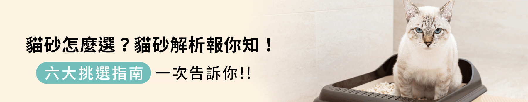 貓砂六大特點解析精選