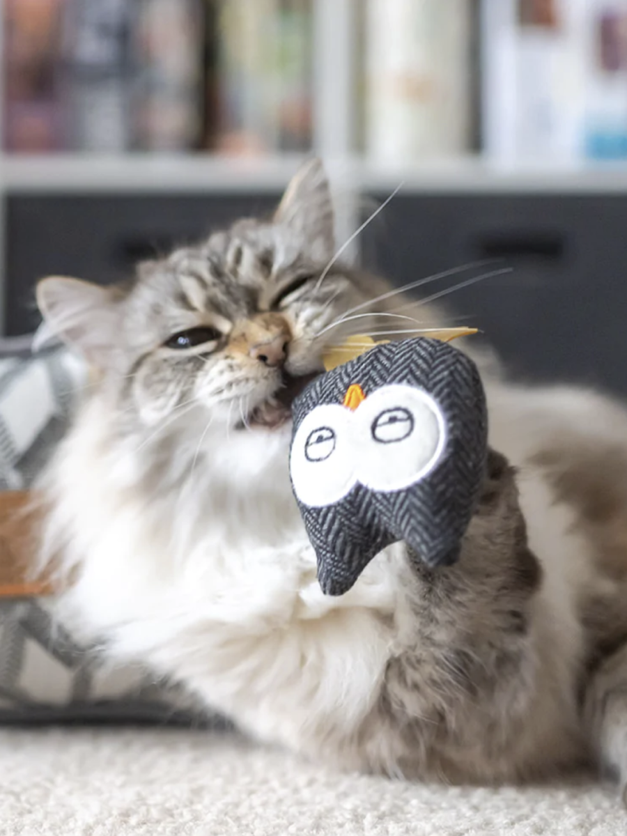 【美國 P.L.A.Y.】狂野貓咪 貓頭鷹｜貓草玩具