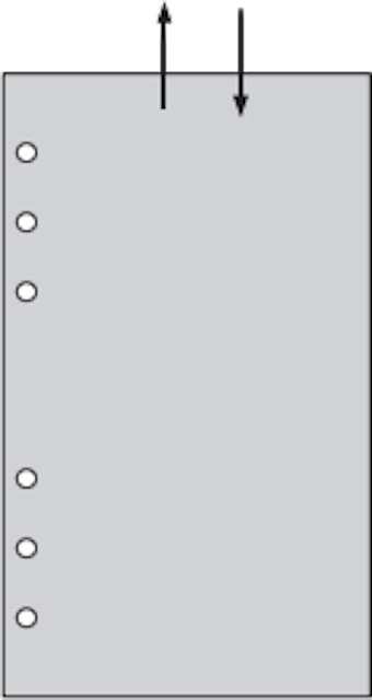 BIBLE／PP透明收納袋－上開式