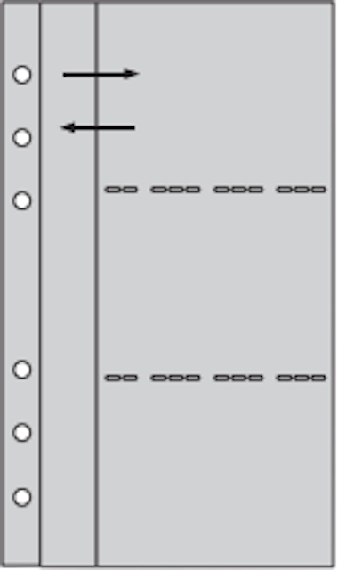 BIBLE／名片收納夾（可收納六張名片）