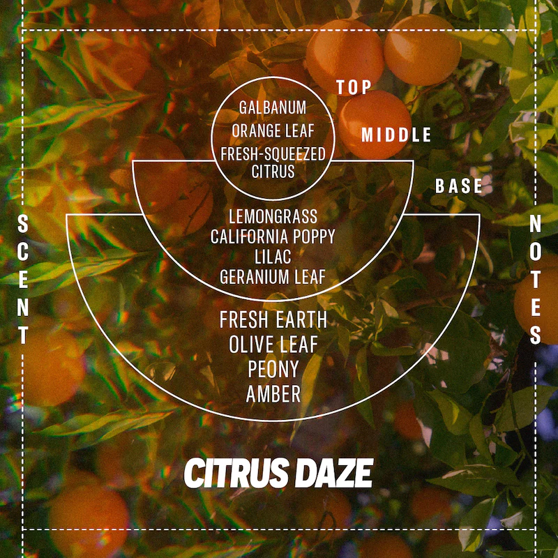 柑橘誘惑 Citrus Daze 柔焦系列蠟燭 - P.F. Candle Co.