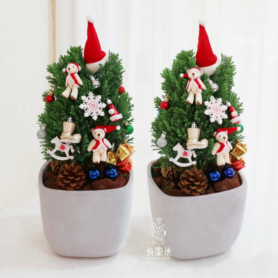 檀香柏 I  翠綠常青 I 聖誕樹  XM220308