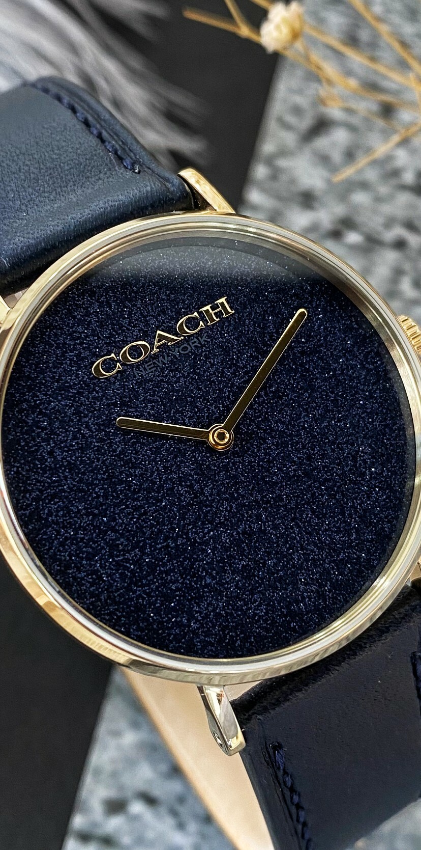 【COACH】星光閃耀皮革錶 CO14504078 (藍) / CO14504079 (紅) 36mm 現代鐘錶