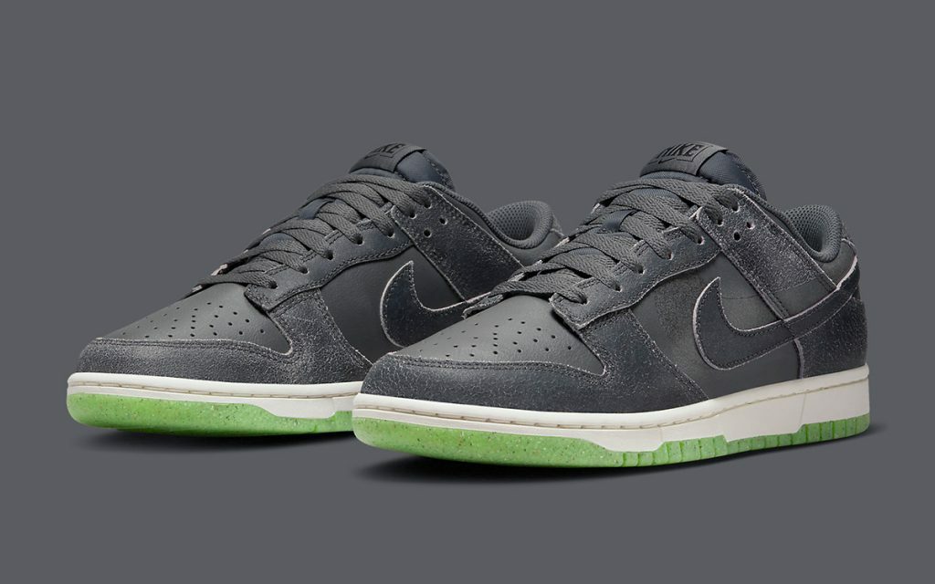 NIKE DUNK LOW RETRO PRM 