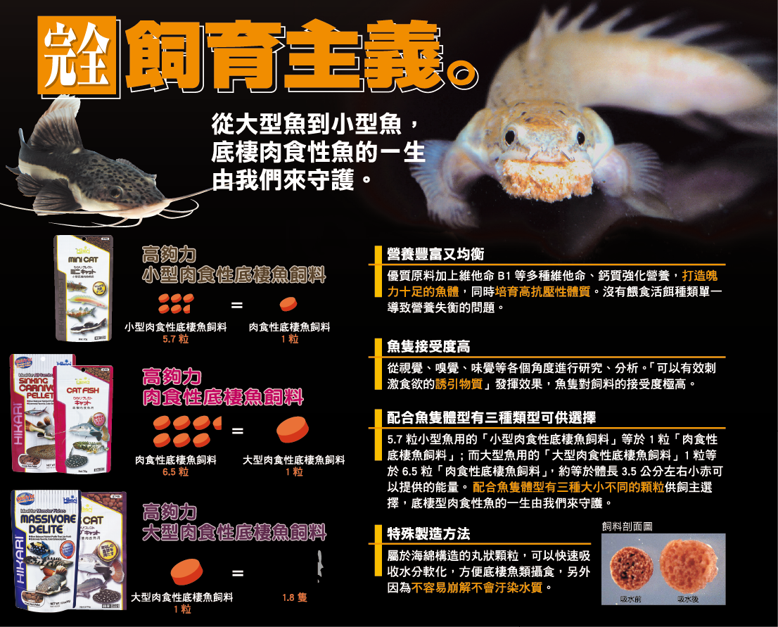 Hikari 高夠力 小型肉食性底棲魚飼料