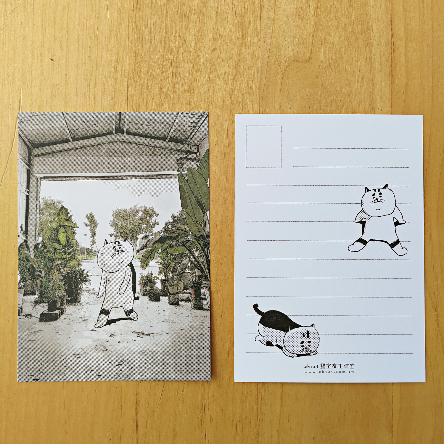 【ehcat貓室友】老背少明信片