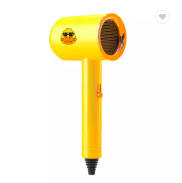 Duck Hair Dryer