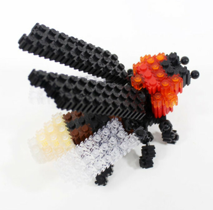 《 韓國 EZ 》 拼豆 森林中的好朋友系列 昆蟲系列 - 螢火蟲