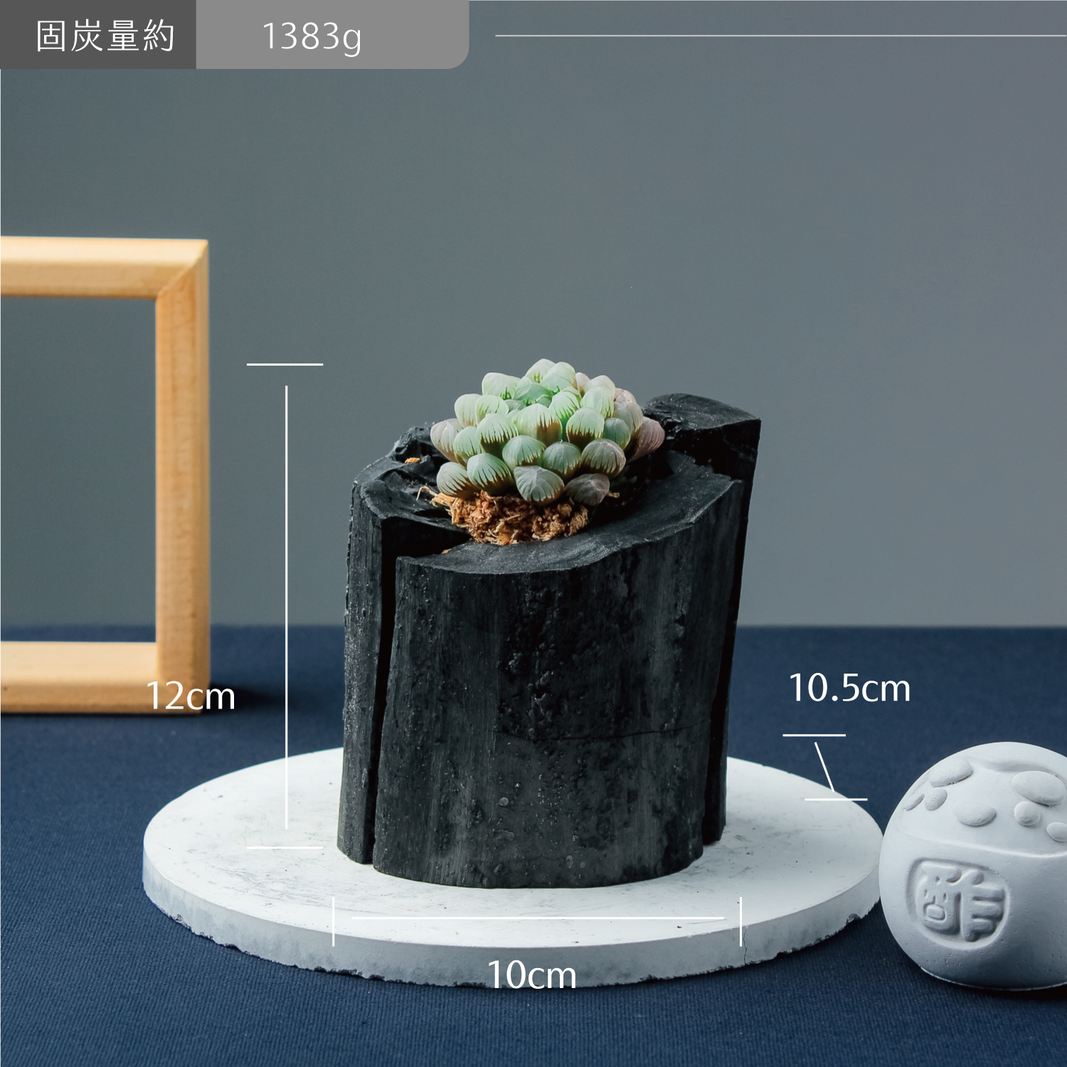 【需陽光】藝術炭盆栽－多肉［387］/調濕/消臭/美化/家飾/淨化空氣(含運)