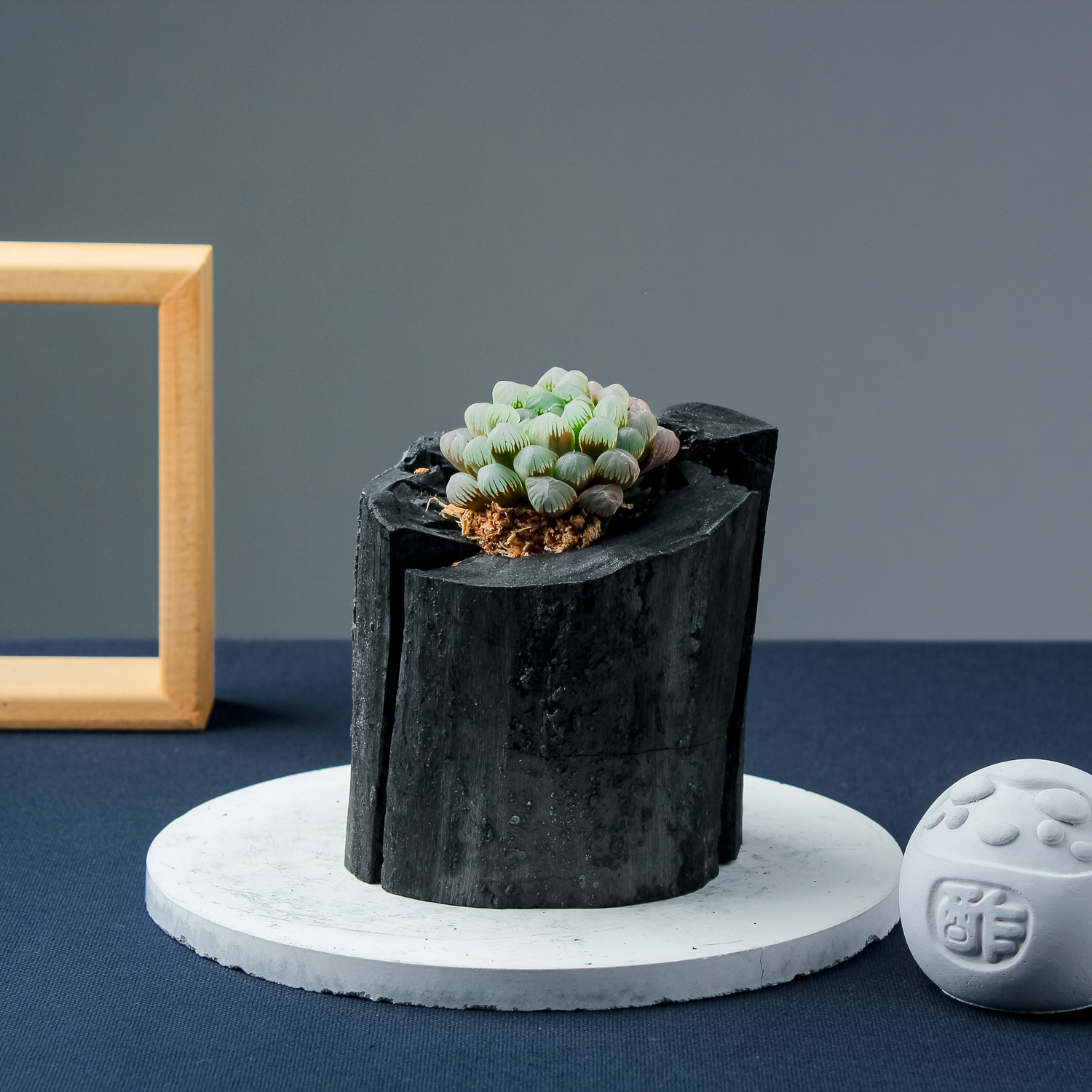 【需陽光】藝術炭盆栽－多肉［387］/調濕/消臭/美化/家飾/淨化空氣(含運)