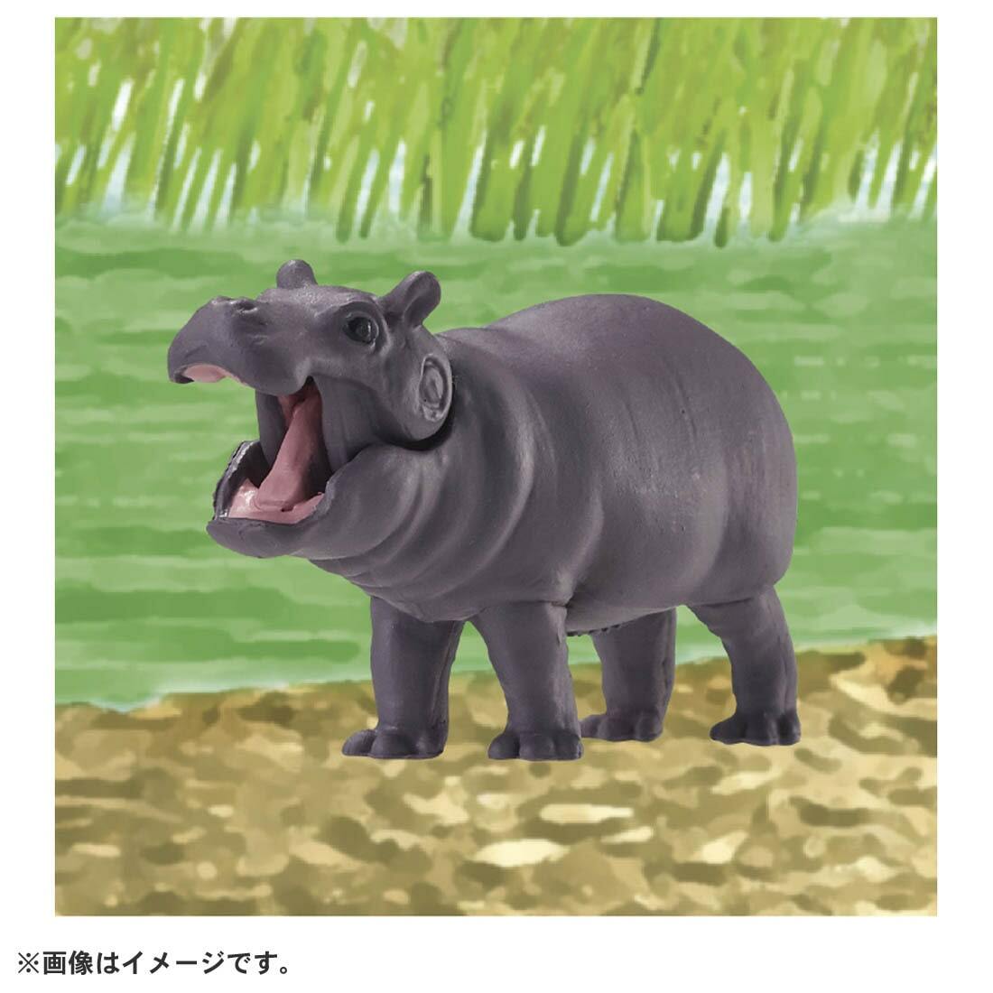 Takara Tomy ANIA 動物模型 AC-09 河馬寶寶