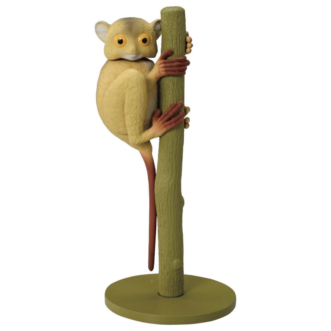 Takara Tomy ANIA 動物模型 AS-27 眼鏡猴