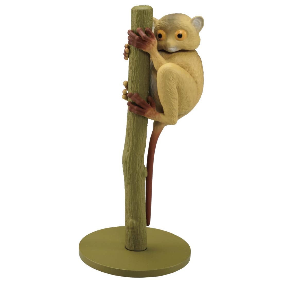 Takara Tomy ANIA 動物模型 AS-27 眼鏡猴