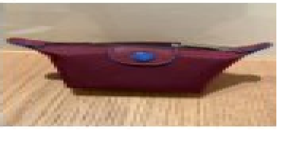 [S] LONGCHAMP LE PLIAGE L3693619P22 COIN POUCH,BURGUNDY, 3597921816246 (SLC76)