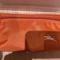 [S] LONGCHAMP LE PLIAGE 34060619P39 LE PLIAGE CLUB POCHETTE,ORANGE, 3597921925965 (SLC86)