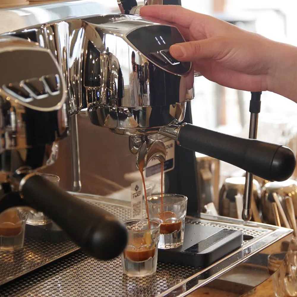 TOKADO - 海地 Malebranche