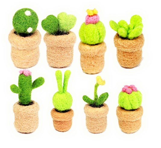羊毛氈戳戳樂多肉植物DIY材料包 Y2125