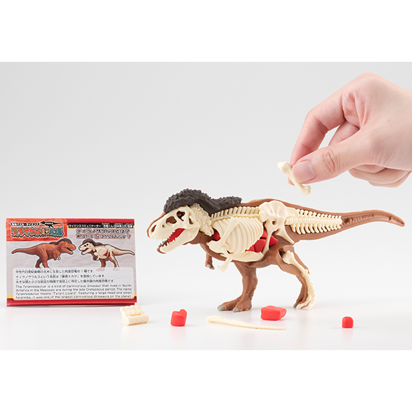 [解體拼圖][遠古系列]暴龍