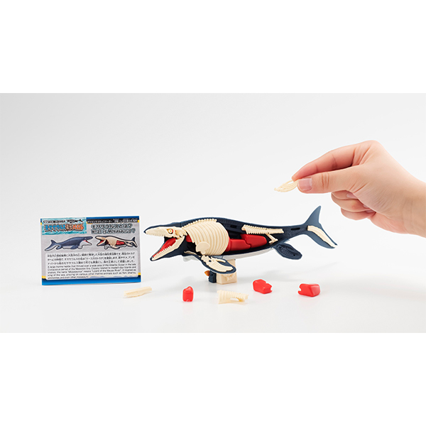 [解體拼圖][遠古系列]滄龍