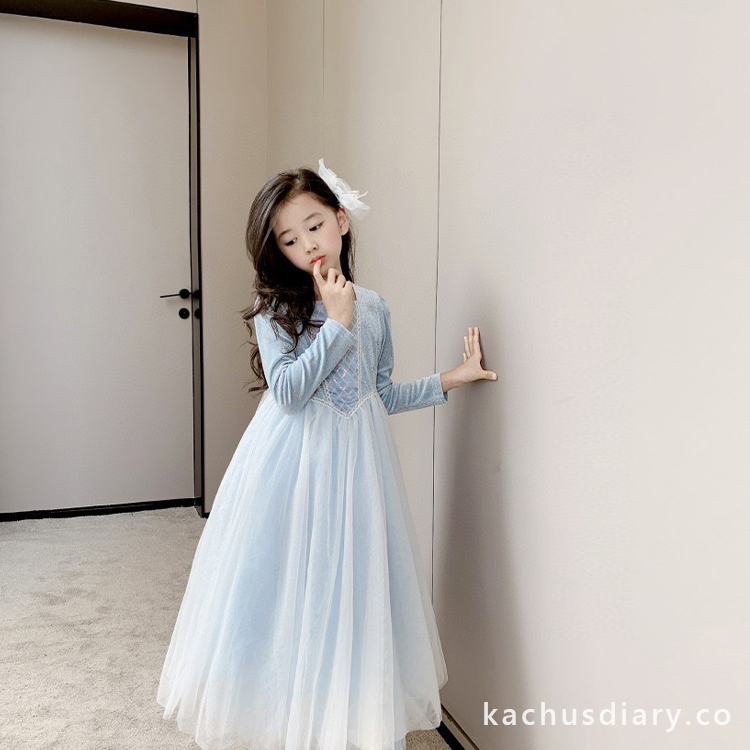 Elsa princess dress