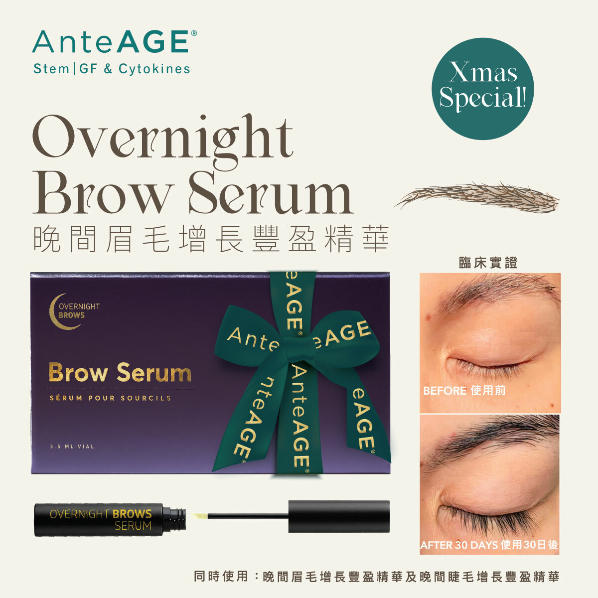 AnteAGE 晚間眉毛增長豐盈精華