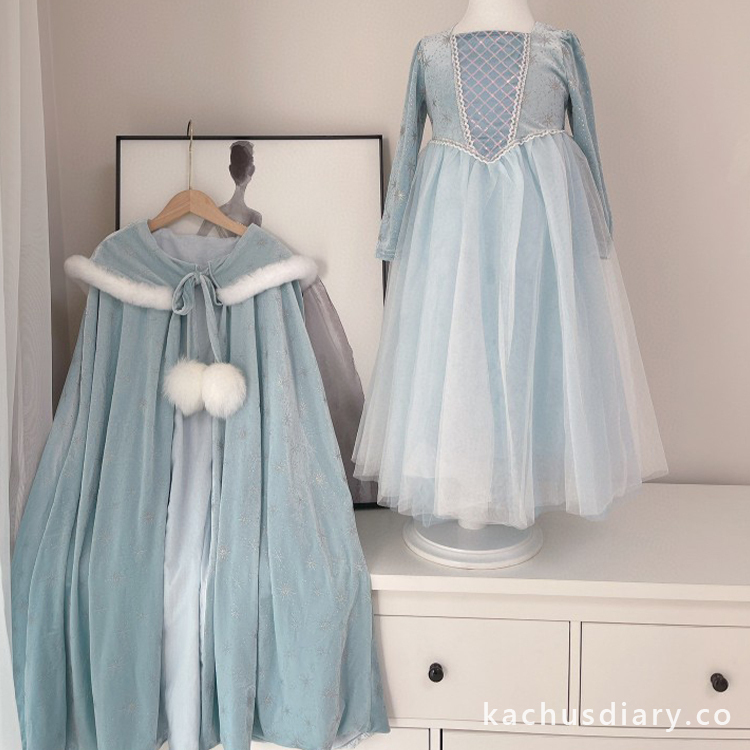 Elsa princess dress