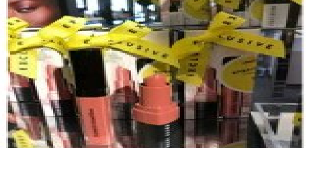 [S] NORD STROM CRUSHED LIP DUO, 716170292113 (SZZ85)